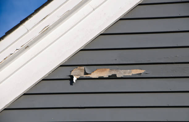 Affordable Siding Repair and Maintenance Services in Woodville, OH